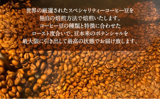 セレクト コーヒー 200g×2種類（豆）珈琲 スペシャルティコーヒー