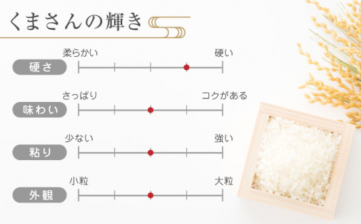 6回定期便】くまさんの輝き 白米 10kg【有限会社 農産ベストパートナー