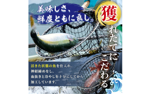 ヒラメ 刺身用 ブロック 冷蔵(1匹分・4-5人前) 【AS135】【海べ (株)】