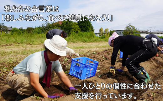 数量限定50箱】さつまいも 紅はるか 4kg 【思いやり型返礼品 農福連携