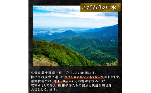 滋賀県竜王町のふるさと納税  近江牛 すき焼き しゃぶしゃぶ 霜降り 赤身 盛り合わせ 800g 冷凍 ( 和牛 近江牛 ブランド牛 和牛 近江牛 三大和牛 近江牛 牛肉 滋賀県 竜王 和牛 近江牛 冷凍 贈り物 和牛 近江牛 ギフト 和牛 近江牛 プレゼント 和牛 近江牛 黒毛和牛 澤井牧場 近江牛 )