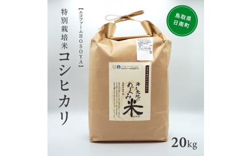 [№5667-0177]令和5年産 海と天地のめぐみ米(コシヒカリ)白米 20kg 238262 - 鳥取県日南町