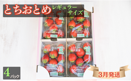 【3月発送】とちおとめ（レギュラーサイズ）4パック 梅原農園 イチゴ いちご 苺 鉾田のいちご