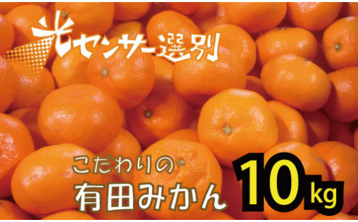 【2024年12月発送予約分】＼光センサー選別／農家直送 こだわりの完熟有田みかん 約10kg＋300g(傷み補償分) 【ご家庭用】【12月発送】 有機質肥料100% 有田みかん みかん ミカン 蜜柑 柑橘 果物 フルーツ 甘い 温州みかん 先行予約 858389 - 和歌山県太地町