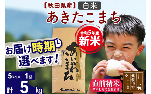 ＜新米＞秋田県産 あきたこまち 5kg【白米】(5kg小分け袋)【1回