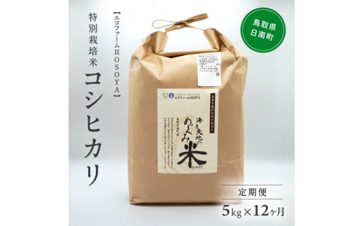 [№5667-0290]【12カ月連続お届け】令和5年産 海と天地のめぐみ米（コシヒカリ） 白米5kg 255039 - 鳥取県日南町