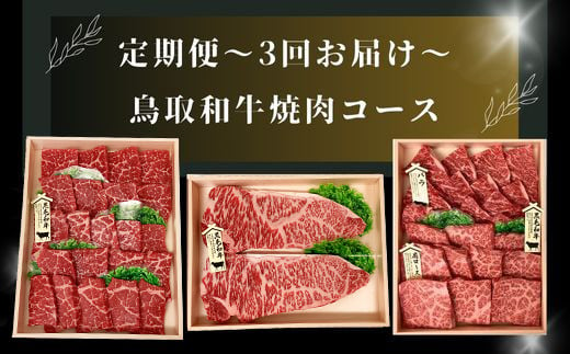 TT01：【3回定期便】鳥取和牛焼肉コース