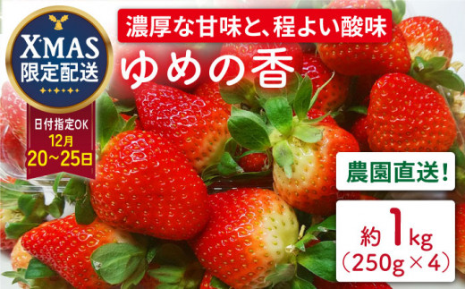 クリスマス用・数量限定】長崎県産いちご ゆめの香 約1kg（250g×4