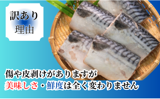 訳あり 熟成塩サバ切身 約3.5kg 青魚 おかず 惣菜 サバ 鯖 海鮮 魚 大容量 健康 熟成 塩サバ 冷凍 おかず 惣菜 鯖 さば 魚 海鮮  大容量 おつまみ バーベキュー 山盛り 規格外