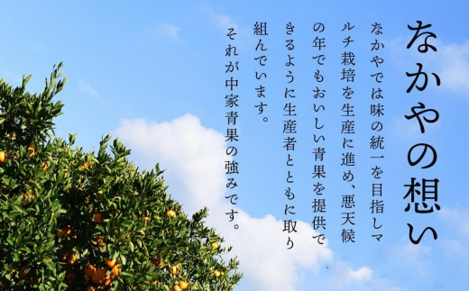 訳ありみかん約4kg箱+痛み補償200g(3S～Lサイズ混合)和歌山県産〈糖度12.5度以上〉|株式会社松源