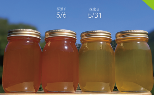 [№5308-0272]天然蜂蜜 国産蜂蜜 非加熱 生はちみつ 合計2400g 岐阜県 美濃市産 味比べ 蜂蜜600g入りガラス瓶 4本セットC4