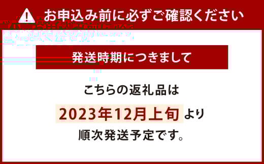 シャボン玉出産準備セット