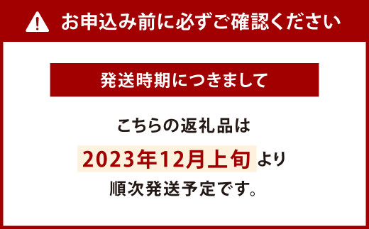 2023年12月上旬発送開始】シャボン玉固形石けんセット(計20個) - 福岡