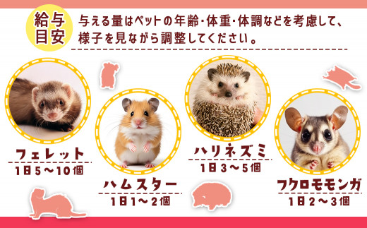 小動物用チキンペースト☆おやつに～エネルギー補給～※ポスト投函_LF