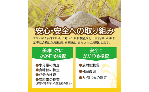 ふるさと納税】令和5年 米 10kg 宮城県産 つや姫 5kg×2袋 精米