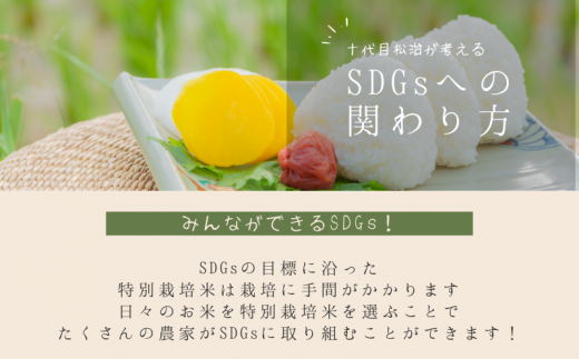 定期便【令和5年産】 270年続くお米農家が作った特別栽培米 コシヒカリ