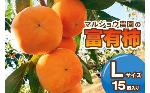 【年内発送】【先行予約】 令和6年産 《柿の王様》 マルジョウ農園 富有柿 Lサイズ 15個 入り  [mt696] かき 富有柿 ふゆうがき フルーツ カキ 果物 くだもの 産地直送 岐阜県 本巣市 年内配送 年内お届け 1117139 - 岐阜県本巣市