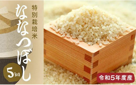 特別栽培米 アポイ米（ななつぼし）5kg