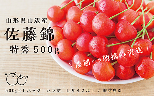 先行予約》2024年 山形県産 さくらんぼ 佐藤錦 500g バラ詰め(パック