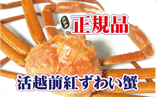 活越前紅ずわいがに