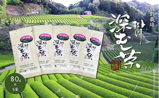 ５８３４　令和６年４月より発送　特別栽培 － 掛川深蒸し茶 ８０ｇ×５袋セット 計400ｇ 松下園 