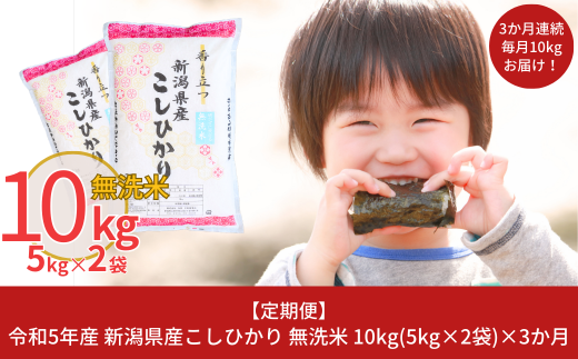 定期便・3ヶ月】《数量限定》令和5年産 千葉県産 渡辺さんのコシヒカリ