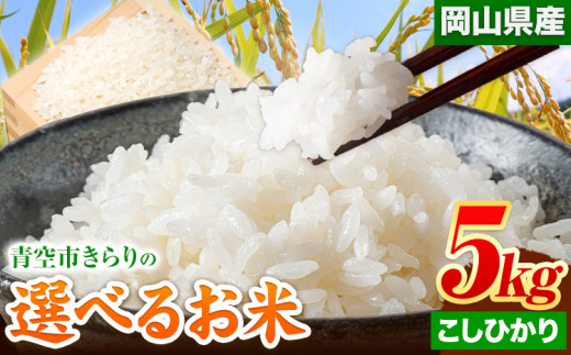 155. 令和5年産 青空市きらりの 選べる お米 5kg 岡山県産 こしひかり 青空市きらり《30日以内に出荷予定(土日祝除く)》岡山県 矢掛町 白米 精米 米 コメ