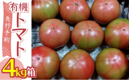「先行予約」選べる 有機トマト 転換期間中有機トマト[4kg箱]