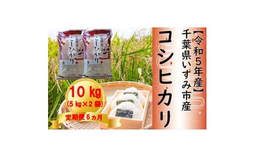 ＜毎月定期便＞令和5年産　千葉県いすみ市産コシヒカリ10kg(5kg×2袋)全6回【4004745】