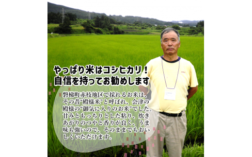 【令和5年産新米】農薬不使用　コシヒカリ米　合鴨農法　10kg(特別栽培米、旧名：会津磐梯山宝米）