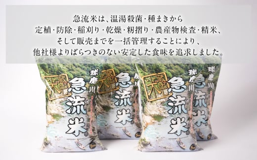 令和6年産】熊本県産 球磨川急流米 ヒノヒカリ 5kg×4袋 合計20kg - 熊本県八代市｜ふるさとチョイス - ふるさと納税サイト