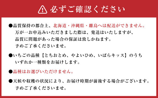 茨城県産いちご【とちおとめ・やよいひめ・いばらキッスいずれか1種類お届け】合計約1080g