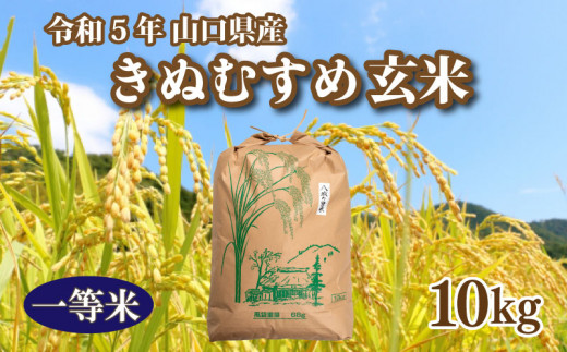 令和5年】令和5年 収穫 山口県産 きぬむすめ 玄米 10kg×1箱 ｜ふるラボ