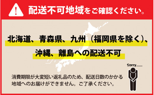 訳あり 茹で越前がに 300～400g×1杯【訳アリ かに 蟹 ずわい ズワイ