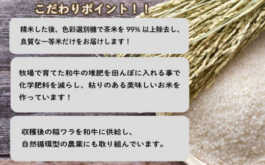 米 10kg 選べる 定期便 回数 きぬむすめ 新米 精米 白米 お米 10kg 30kg 60kg 月1回お届け お届け回数 大容量 下関 山口 -  山口県下関市｜ふるさとチョイス - ふるさと納税サイト