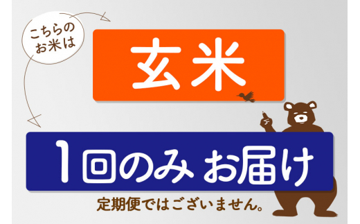 新米＞秋田県産 あきたこまち 8kg【玄米】(2kg小分け袋)【1回のみお