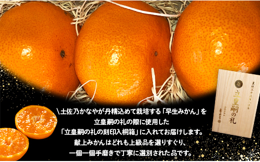 土佐乃かなや 早生みかん(立皇嗣の礼の刻印入桐箱使用)8玉 贈答用