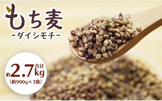 もち麦（ダイシモチ） 合計2.7kg - 香南市産 食物繊維 ミネラル 豊富 のし もち麦 国産 特産品 yr-0020 1047573 - 高知県香南市