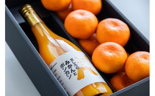 間城農園 みかん1kgとみかんとポンカンミックスジュース1本のセット 柑橘 みかん ジュース ms-0050 426808 - 高知県香南市