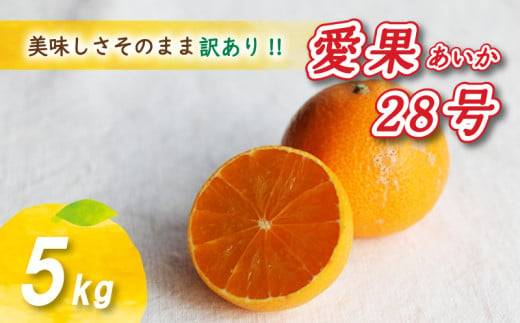 12月から発送】 訳あり 愛果28号 5kg あいか みかん 数量限定 みかん ...