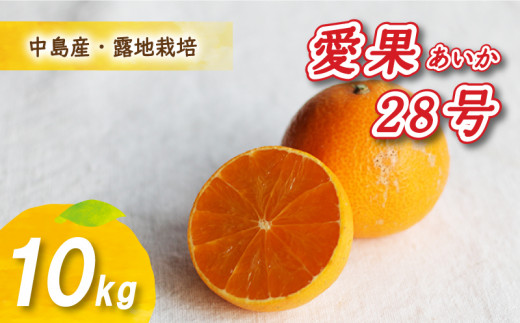 愛媛県産　愛果28号　柑橘　10kgご了承下さいませ