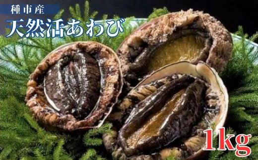 種市産天然活あわび 7～9個程度(約1kg) お刺身 鮑 ステーキ 産地直送 冷蔵