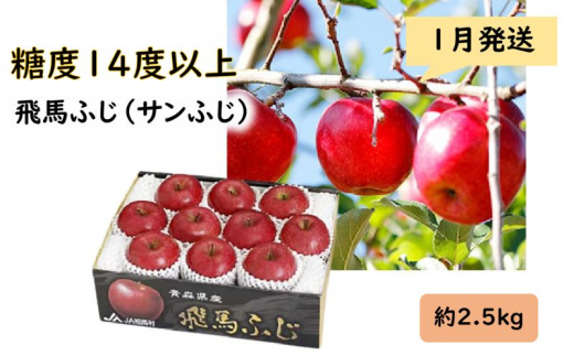 りんご 【 1月発送 】 糖度14度以上 「 飛馬ふじ 」（ サンふじ ）約 2.5kg 【 弘前市産 青森りんご 】 684405 - 青森県弘前市