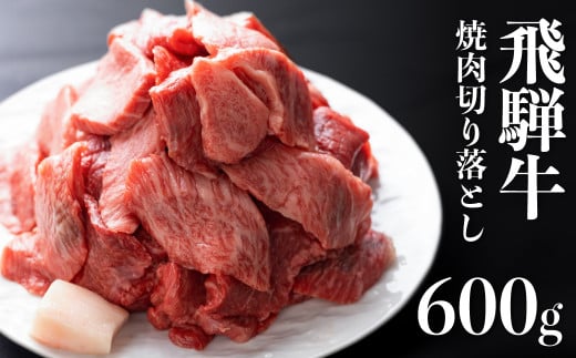 【訳あり】飛騨牛 焼肉用切り落とし 600g 