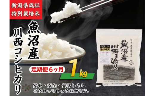 定期便／６ヶ月】魚沼産川西こしひかり1kg 新潟県認証特別栽培米 令和