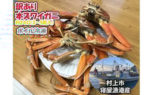 【訳あり】本ズワイガニ　約2kg（2～6尾入）【新潟県村上市寝屋漁港産】【数量・期間限定】 1079001
