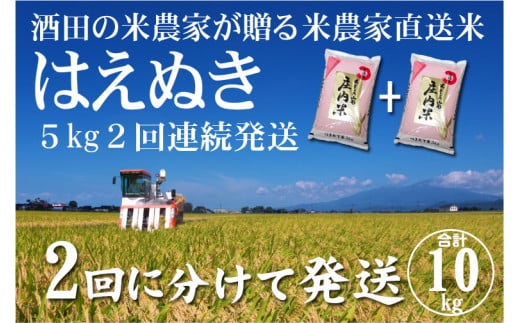 はえぬきのふるさと納税 カテゴリ・ランキング・一覧【ふるさと