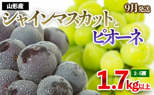 やまがたのぶどう シャインマスカット＆ピオーネ 秀品 約1.7kg(2～5房程度) [9月発送] 【令和6年産先行予約】FS23-752 フルーツ くだもの 果物 山形 山形県 山形市 ぶどう 葡萄 ブドウ セット 2024年産