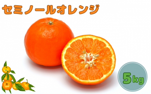 セミノール オレンジ5kg（サイズ混合） ※2024年4月中旬～5月中旬頃より順次発送予定 ※着日指定不可  652604 - 和歌山県広川町