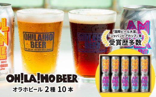 ゴールデンエール＆アンバーエール10本セット クラフトビール 飲み比べ 425761 - 長野県東御市